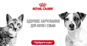 Royal Canin: широкий асортимент у наявності