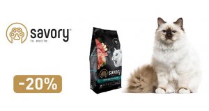 Savory: СКИДКА 20% на сухой холистик корм для кошек Savory весом 2 кг