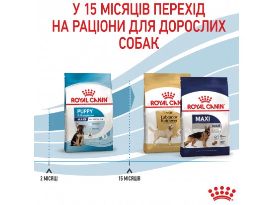Фото - сухой корм Royal Canin MAXI PUPPY корм для щенков крупных пород от 2 до 15 месяцев