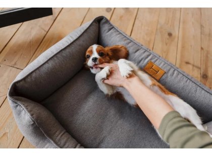 Фото - лежаки, матрасы, коврики и домики Harley & Cho DREAMER GRAY лежак для собак, серый
