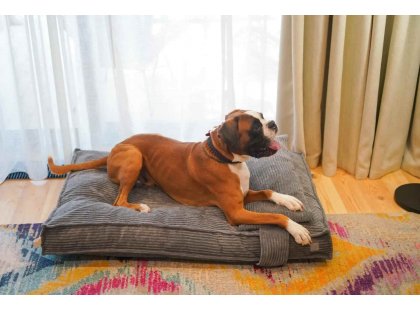Фото - лежаки, матраси, килимки та будиночки Harley & Cho MEMORY FOAM GRAY ортопедична подушка для собак, сірий