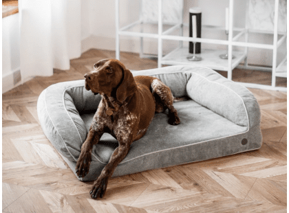 Фото - лежаки, матраси, килимки та будиночки Harley & Cho SLEEPER GREY диван для собак, сірий