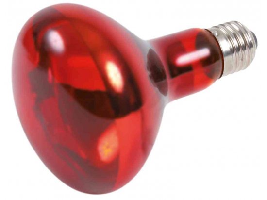 Фото - оформлення акваріума Trixie Infrared Heat Spot Lamp інфрачервона лампа для обігріву тераріумів