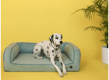 Фото - лежаки, матрасы, коврики и домики Harley & Cho SLEEPER MINT диван для собак, мятный