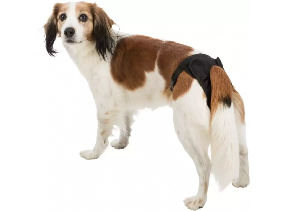 Фото - памперсы и трусики Trixie Защитные трусики для собак во время течки