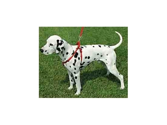 Фото - амуніція Collar Dog Extremе нейлонова регульована шлейка для собак, червоний