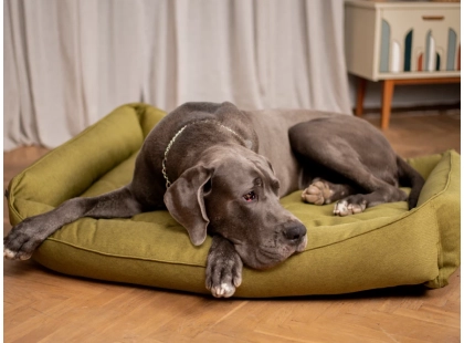 Фото - лежаки, матраси, килимки та будиночки Harley & Cho SOFA OLIVE лежак для собак, оливковий