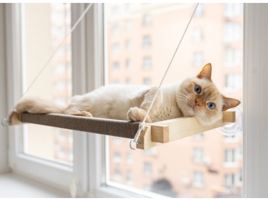 Фото - спальные места, лежаки, домики PetJoy Гамак на окно для кота, белый / бежевый
