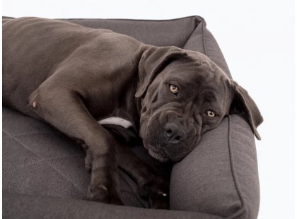 Фото - лежаки, матраси, килимки та будиночки Harley & Cho SOFA GRAY лежак для собак, сірий