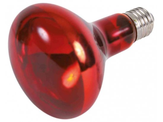 Фото - оформлення акваріума Trixie Infrared Heat Spot Lamp інфрачервона лампа для обігріву тераріумів