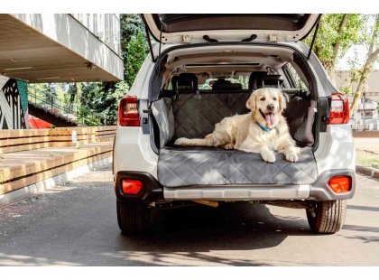 Фото - аксесуари в авто Harley & Cho SAVER GRAY автогамак для собаки в багажник, сірий