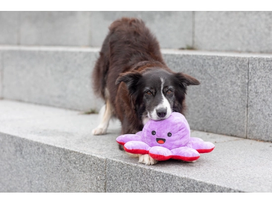 Фото - игрушки Trixie ОСЬМИНОГ двусторонняя игрушка для собак, 35 см (35929)