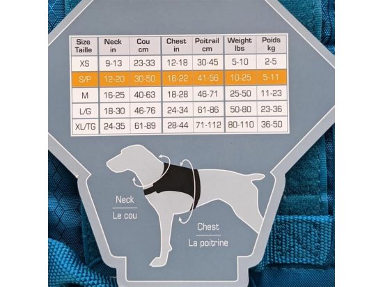 Фото - амуниция Kurgo County Harness шлея для собак, голубой