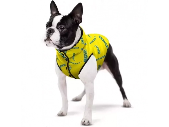 Фото - одяг Collar WAUDOG курточка для собак малюнок "Сміливість"