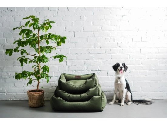 Фото - лежаки, матрасы, коврики и домики Harley & Cho DREAMER VELUR лежак для собак (велюр)