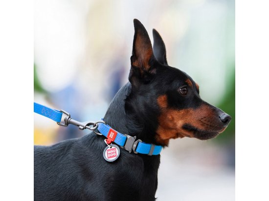 Фото - амуниция Collar WAUDOG WATERPROOF суперпрочный поводок для собак из водоотталкивающего материала, голубой