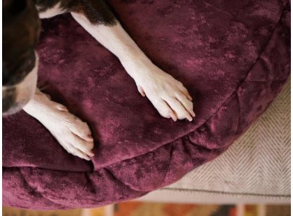 Фото - лежаки, матрасы, коврики и домики Harley & Cho COVER PLUSH CHERRY лежак с капюшоном для собак, вишневый