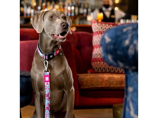 Фото - амуниция Max & Molly Urban Pets Smart ID Collar ошейник для собак с QR-кодом Cherry Bloom