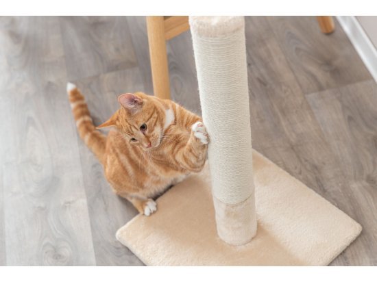 Фото - дряпалки, з будиночками Trixie Batres кігтеточка-стовпчик для котів, бежевий (43360)