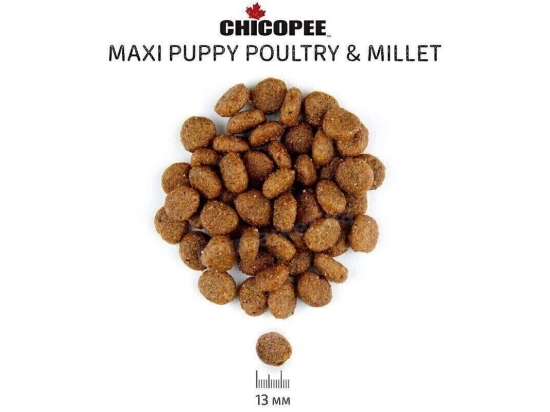 Фото - сухой корм Chicopee CNL PUPPY MAXI POULTRY & MILLET сухой корм для щенков крупных пород ПТИЦА И ПРОСО