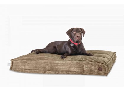 Фото - лежаки, матраси, килимки та будиночки Harley & Cho MEMORY FOAM CACAO ортопедична подушка для собак, бежевий