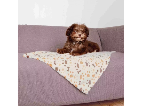 Фото - лежаки, матраси, килимки та будиночки Trixie Lingo Флісове покривало для собак, білий/беж