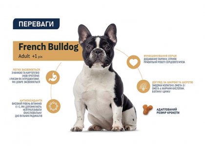 Фото - сухий корм Advance (Едванс) Dog French Bulldog Duck сухий корм для французьких бульдогів КАЧКА