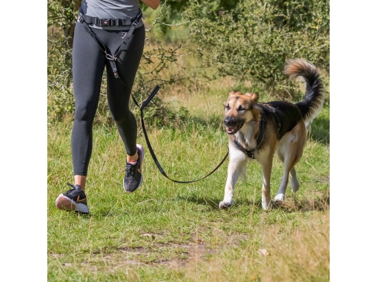 Фото - дрессировка и спорт Trixie Ремень с поводком для бега с собакой, черный/графит (12766)