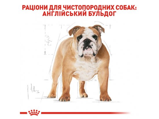 Фото - сухий корм Royal Canin BULLDOG ADULT (АНГЛІЙСЬКИЙ БУЛЬДОГ ЕДАЛТ) корм для собак від 12 місяців