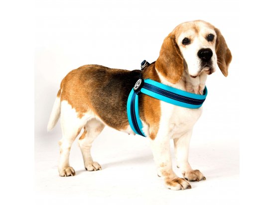 Фото - амуниция Max & Molly Urban Pets Q-Fit Harness шлея для собак Matrix Sky Blue