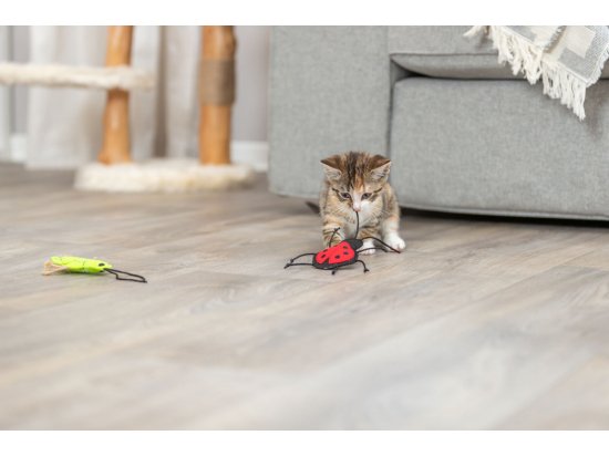 Фото - іграшки Trixie Набір комах - іграшка для кішок з м'ятою, фетр