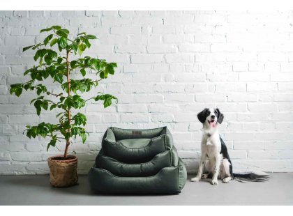 Фото - лежаки, матраси, килимки та будиночки Harley & Cho DREAMER VELOUR GREEN лежак для собак (велюр), зелений