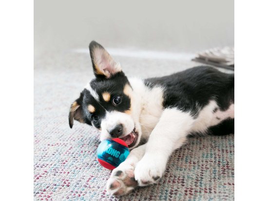 Фото - игрушки Kong SQUEEZZ ACTION игрушка-пищалка для собак полупрозрачная МЯЧ