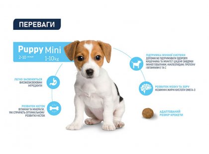 Фото - сухий корм Advance (Едванс) Dog Mini Puppy - корм для цуценят маленьких порід (з куркою та рисом)