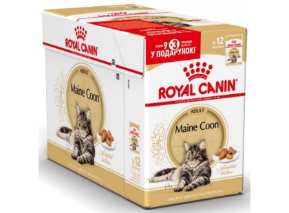 Фото - вологий корм (консерви) Royal Canin MAINE COON ADULT вологий корм для кішок породи мей-кун