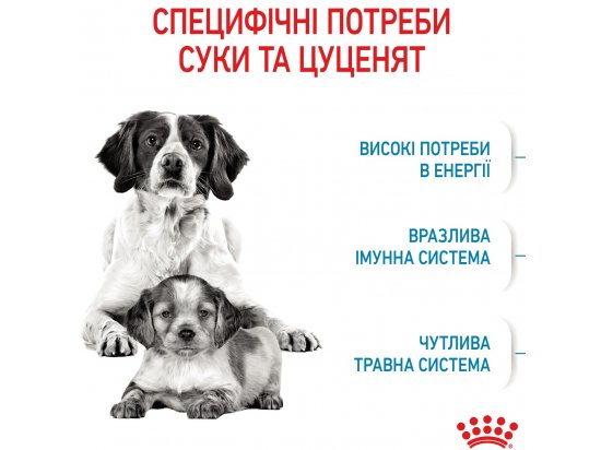 Фото - сухий корм Royal Canin MEDIUM STARTER MOTHER & BABYDOG корм для вагітних та годуючих сук та цуценят середніх порід