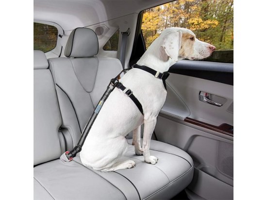 Фото - аксессуары в авто Kurgo Direct to Seatbelt Tether автомобильный ремень безопасности для собак, черно-серый