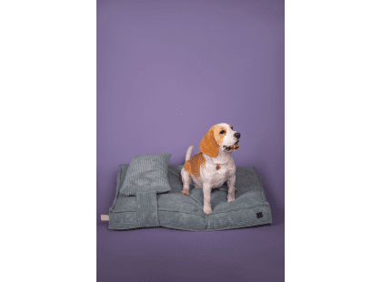 Фото - лежаки, матрасы, коврики и домики Harley & Cho MEMORY FOAM MINT ортопедическая подушка для собак, мятный