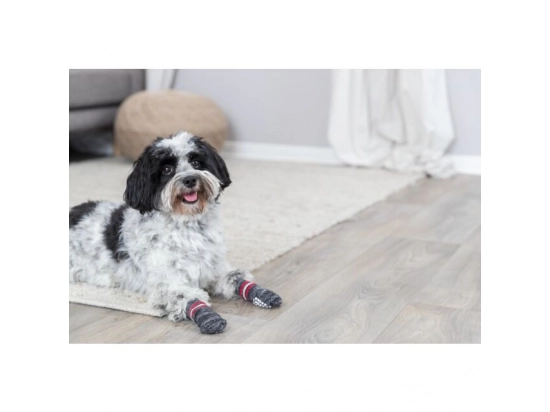 Фото - взуття Trixie Захисні шкарпетки для собак, сірий