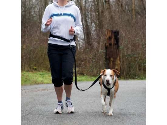 Фото - амуніція Trixie WAIST BELT WITH LEASH повідець з поясним ременем для середніх та великих собак (12767)