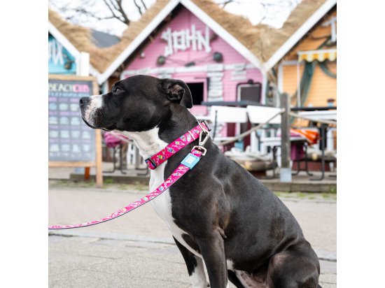 Фото - амуниция Max & Molly Urban Pets Short Leash поводок для собак Magical