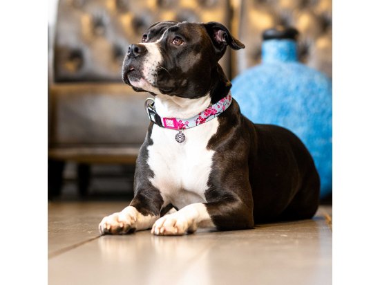 Фото - амуниция Max & Molly Urban Pets Smart ID Collar ошейник для собак с QR-кодом Cherry Bloom