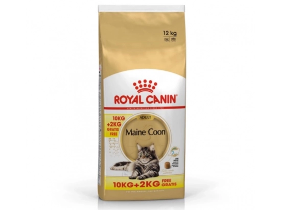 Фото - сухий корм Royal Canin MAINE COON (МЕЙН-КУН) корм для кішок від 1 року