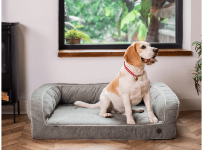 Фото - лежаки, матрасы, коврики и домики Harley & Cho SLEEPER GREY диван для собак, серый