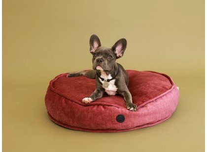 Фото - лежаки, матраси, килимки та будиночки Harley & Cho MEMORY FOAM ISLAND BERRY ортопедична подушка для собак та котів, рожевий