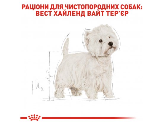 Фото - сухой корм Royal Canin WESTIE HIGHLAND WHITE TERRIER ADULT (ВЕСТ ХАЙЛЕНД ВАЙТ ТЕРЬЕР ЭДАЛТ) корм для собак от 10 месяцев