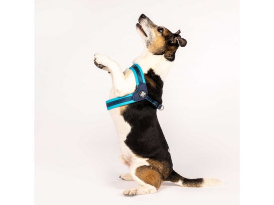 Фото - амуніція Max & Molly Urban Pets Q-Fit Harness шлея для собаки Matrix Sky Blue