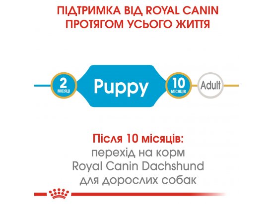 Фото - сухой корм Royal Canin DACHSHUND PUPPY (ТАКСА ПАППИ) корм для щенков до 10 месяцев