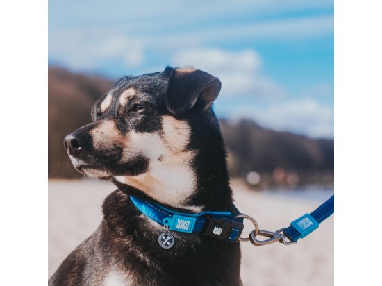 Фото - амуниция Max & Molly Urban Pets Smart ID Collar ошейник для собак с QR-кодом Matrix Sky Blue