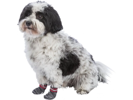 Фото - взуття Trixie Захисні шкарпетки для собак, сірий